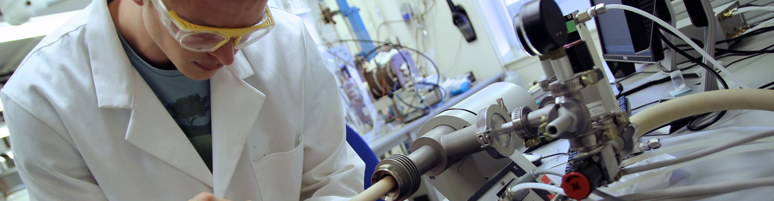 intelligence collective