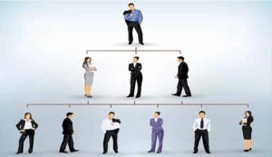 intelligence collective pyramidale